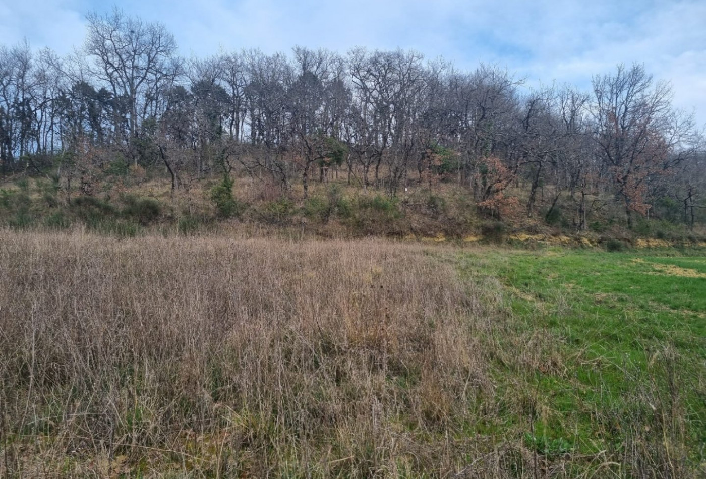 vente Terrain constructible Auch - Photo 3