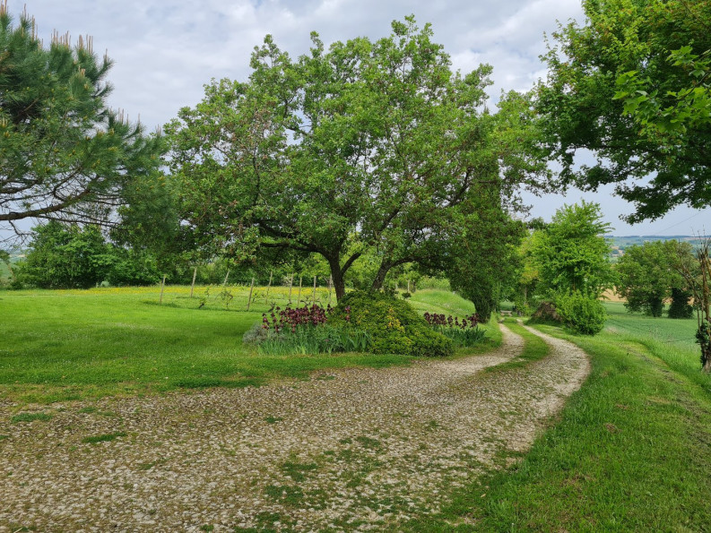 vente Maison Miradoux - Photo 6