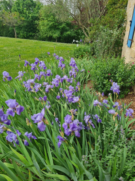 vente Maison Miradoux - Photo 9