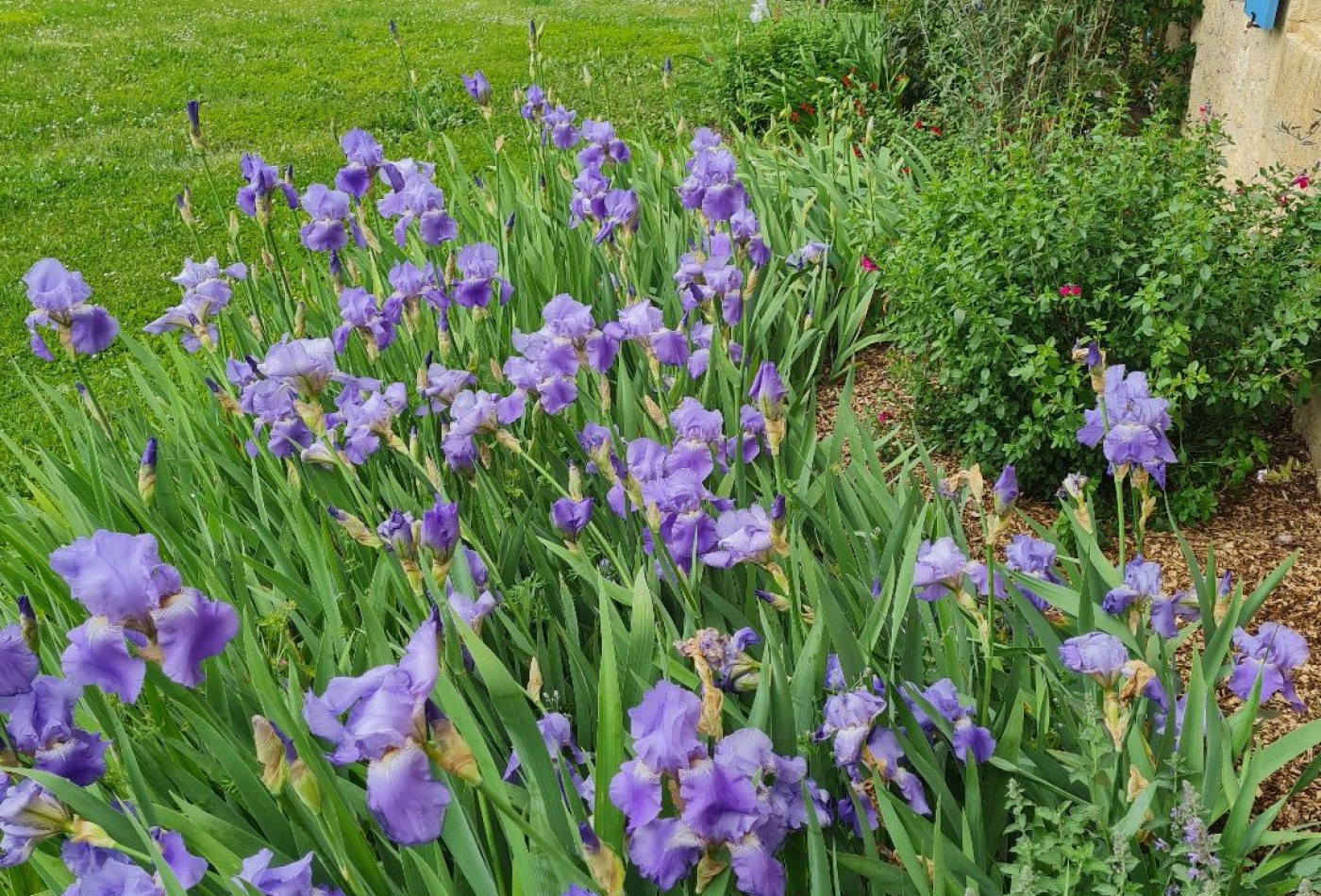 vente Maison Miradoux - Photo 9