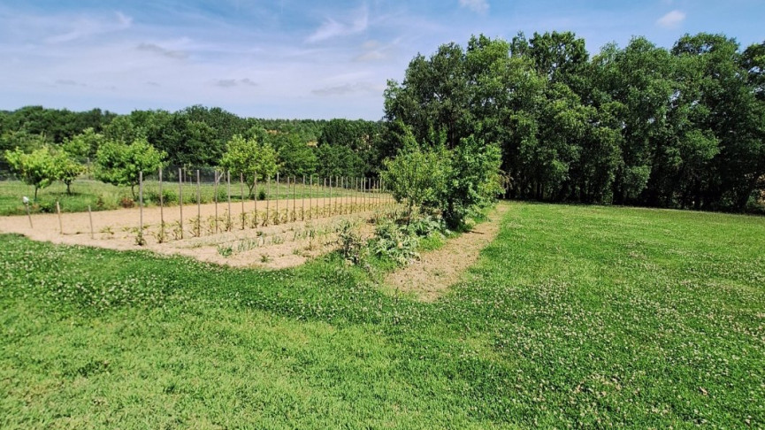 sale Mas Astaffort - Photo 15