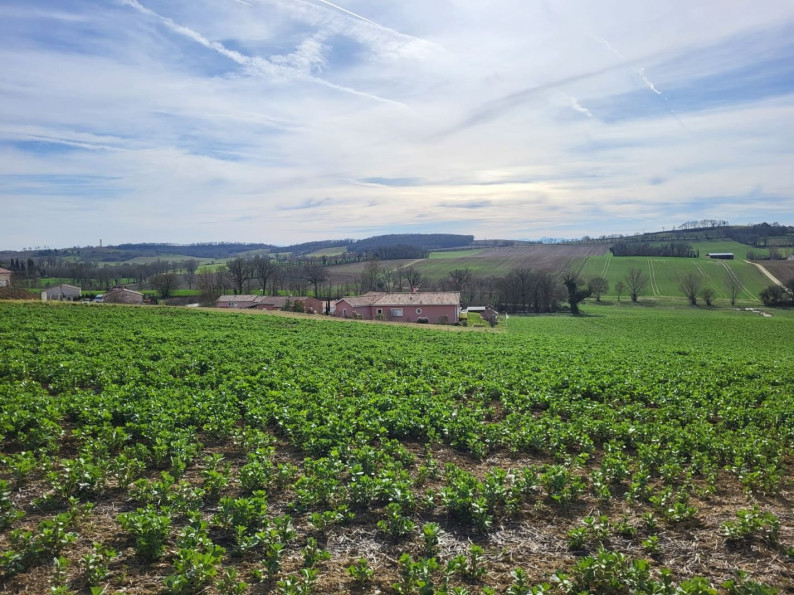 vente Terrain constructible Puycasquier - Photo 1
