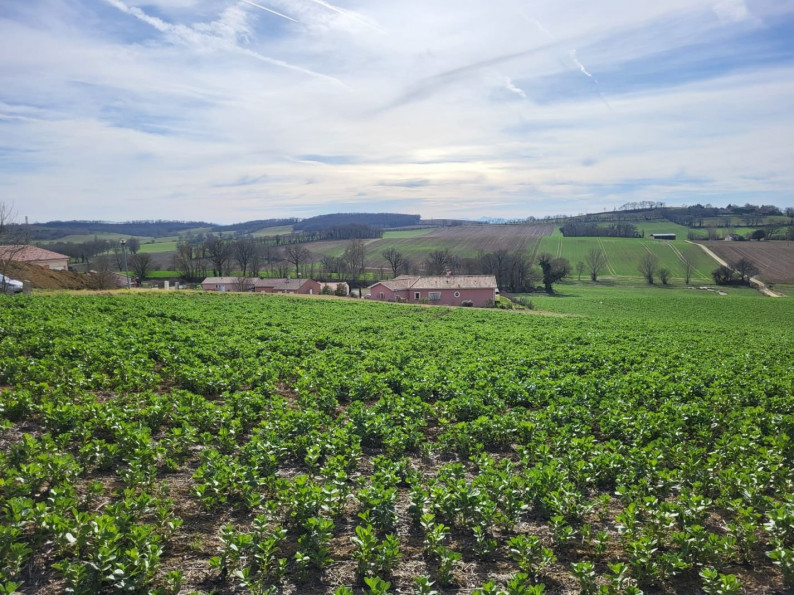 vente Terrain constructible Puycasquier - Photo 2