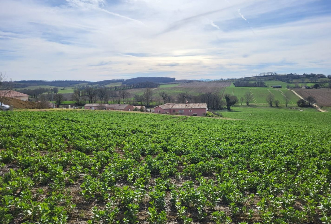 vente Terrain constructible Puycasquier - Photo 2