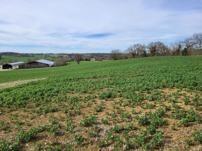 vente Terrain constructible Puycasquier - Photo 3