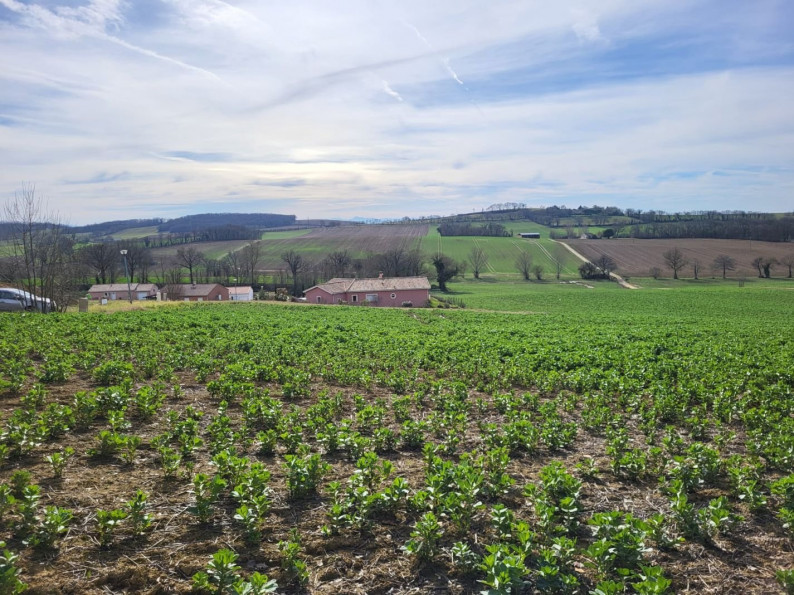 vente Terrain constructible Puycasquier - Photo 1