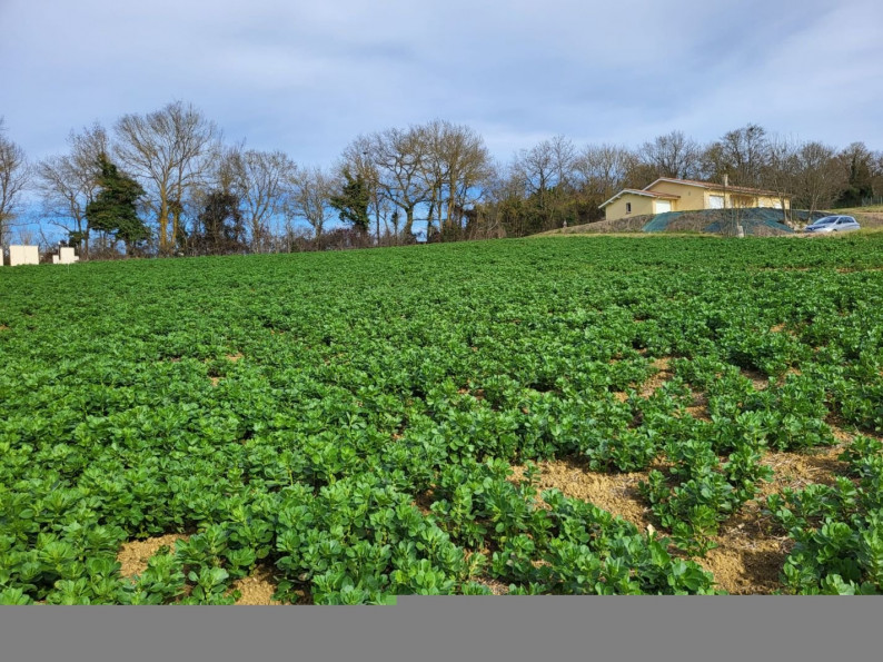 vente Terrain constructible Puycasquier - Photo 2