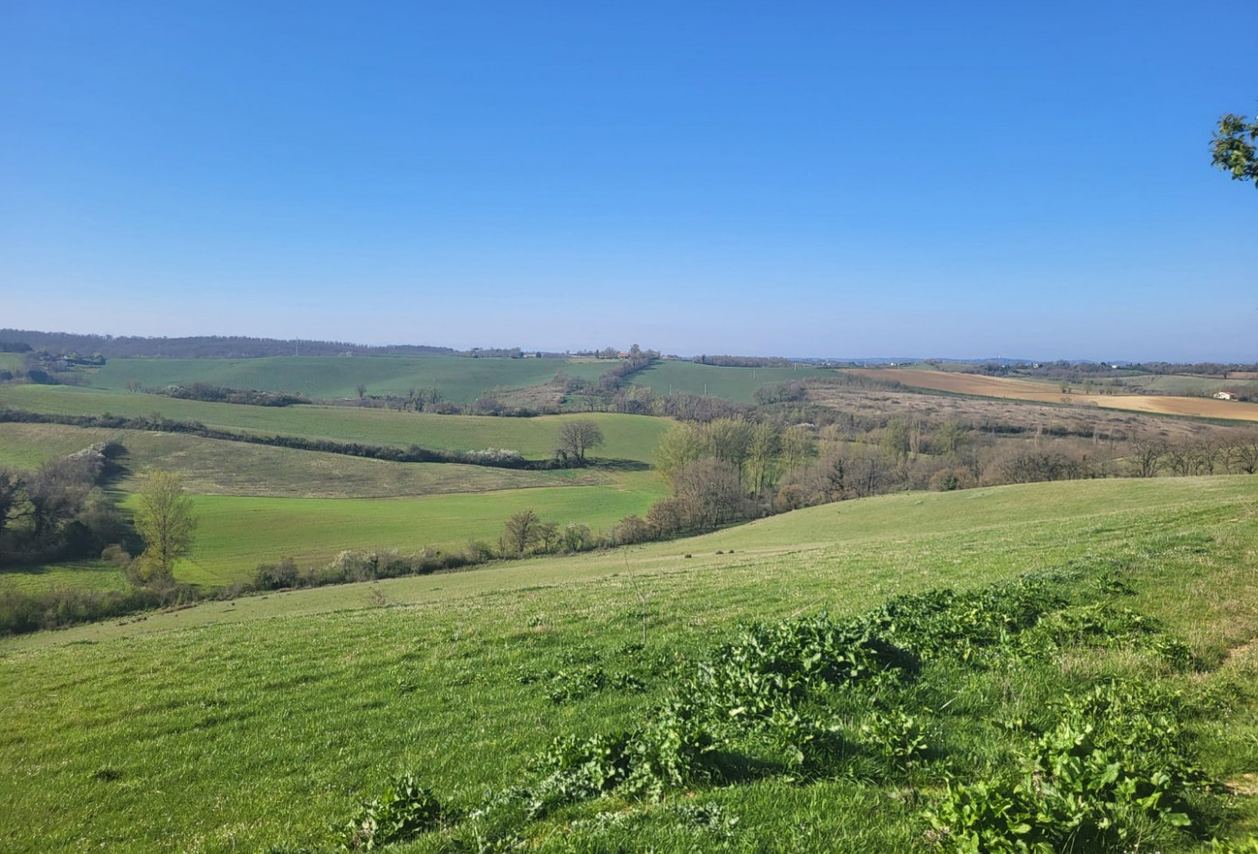 vente Terrain agricole Samatan - Photo 2