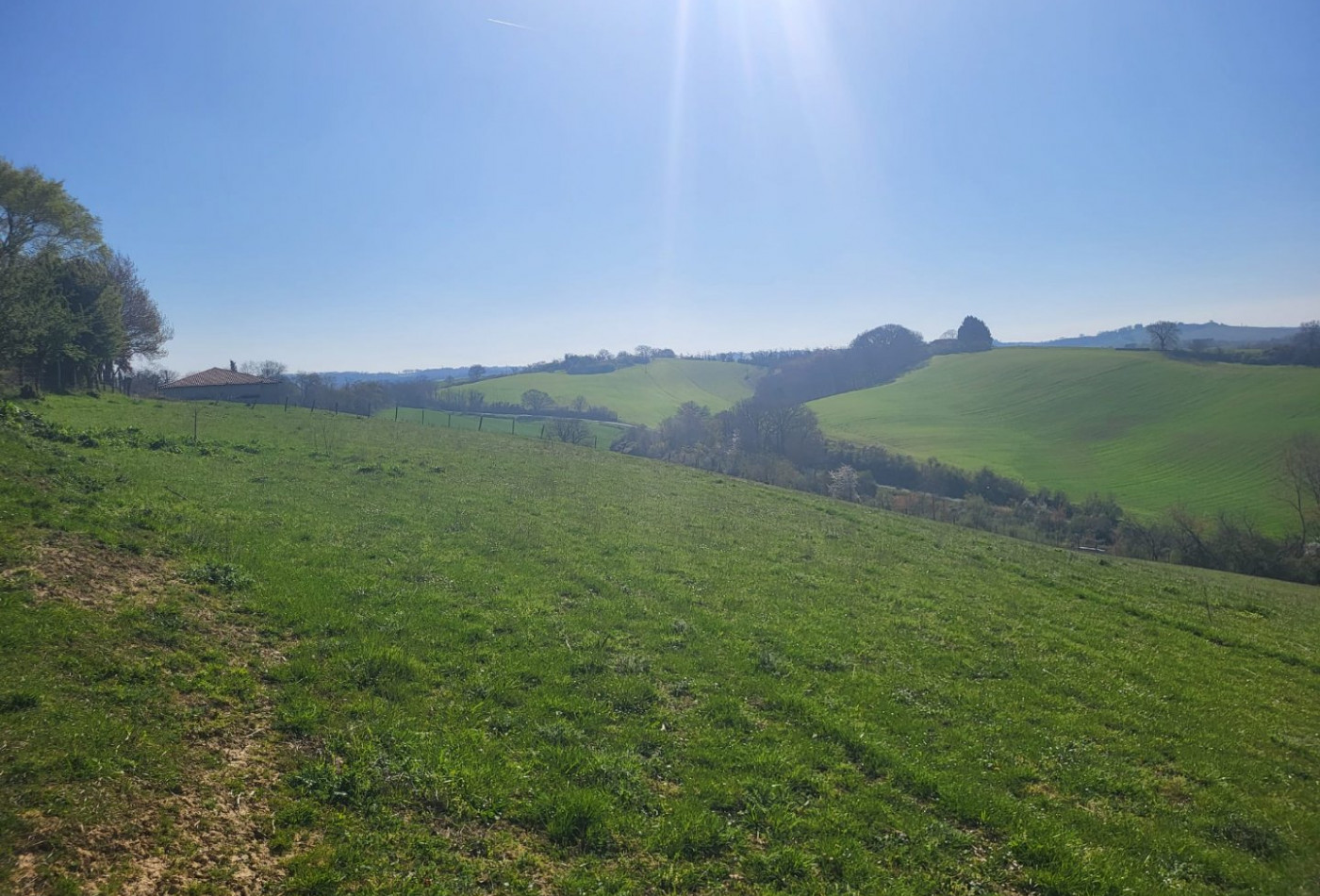 vente Terrain agricole Samatan - Photo 4