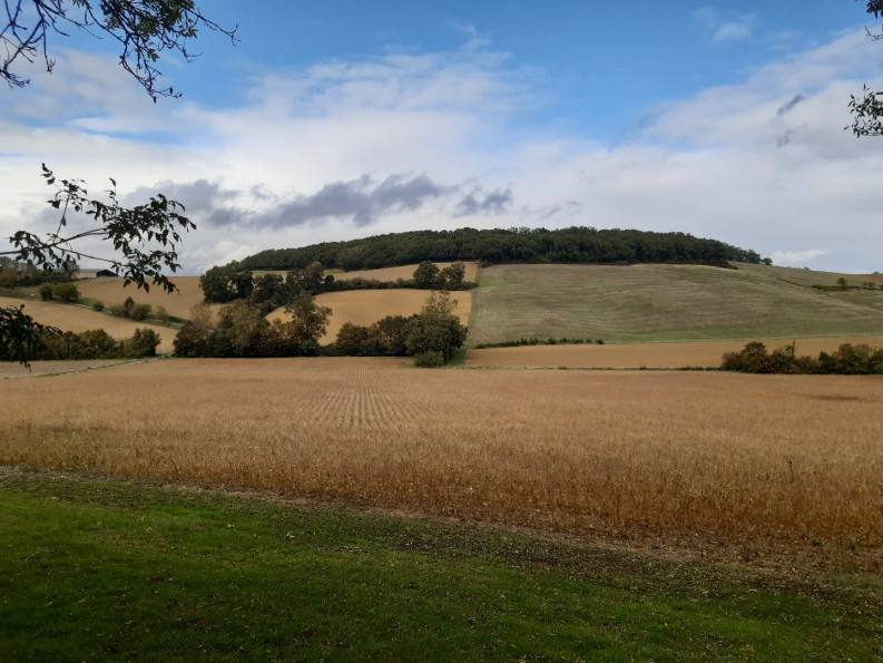 sale Maison Lavardens - Photo 9