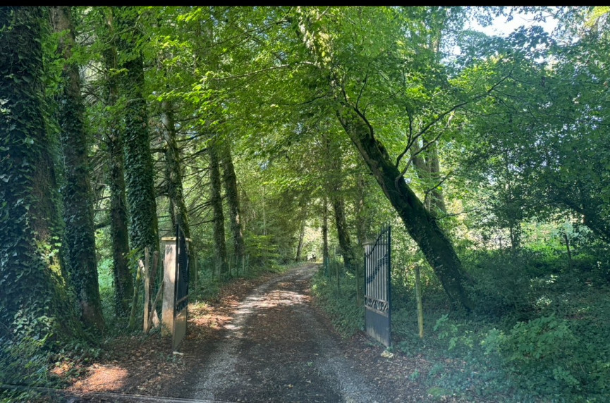 sale Demeure Saissac - Photo 3