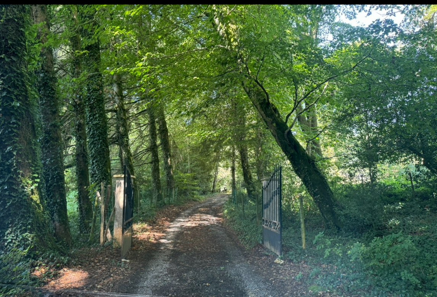 vente Demeure Saissac - Photo 3