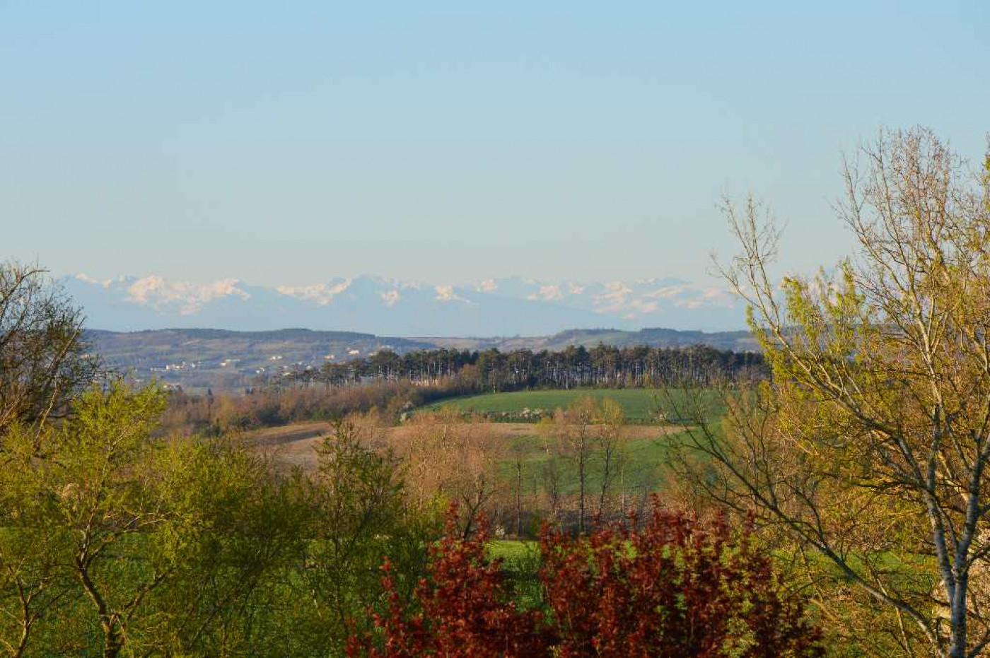 vente Corps de ferme Castelnaudary - Photo 13