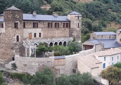 vente Château Carcassonne