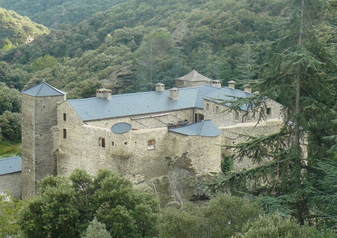 vente Château Carcassonne