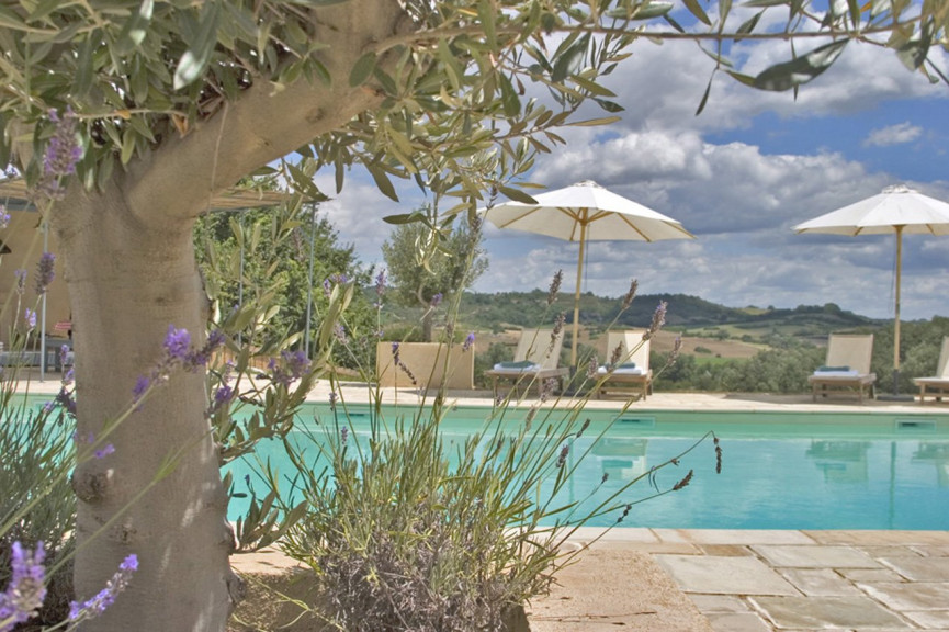 sale Domaine Mirepoix - Photo 13