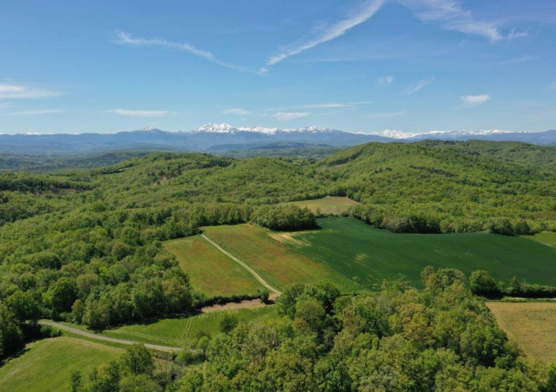 vente Domaine Mirepoix