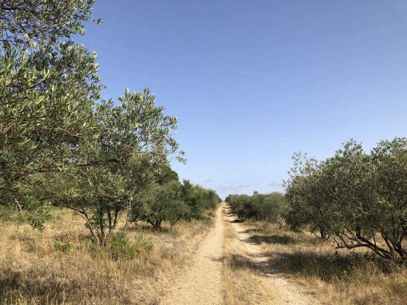 vente Propriété Carcassonne - Photo 16