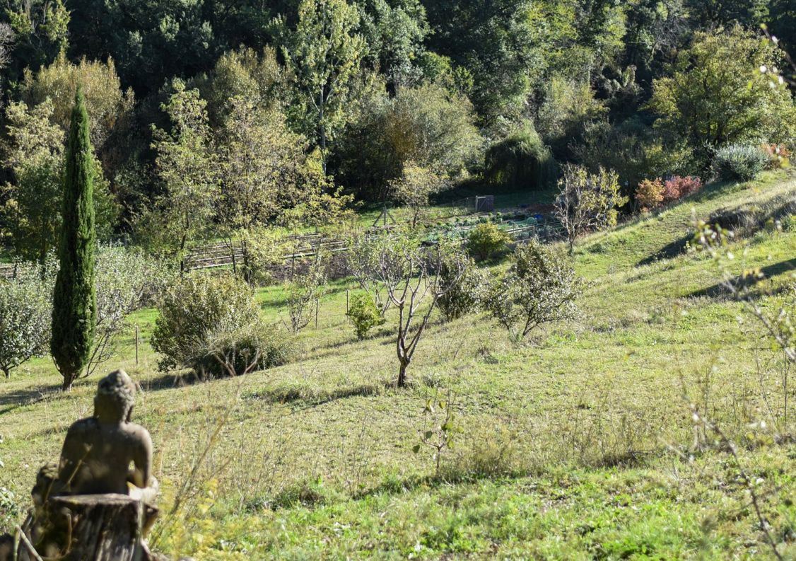 vente Propriété Villefranche De Lauragais