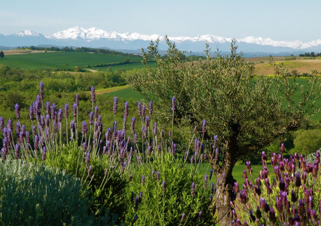 vente Propriété Carcassonne