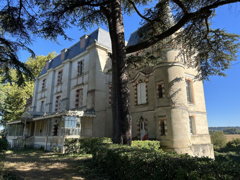 sale Château Calmont - Photo 13