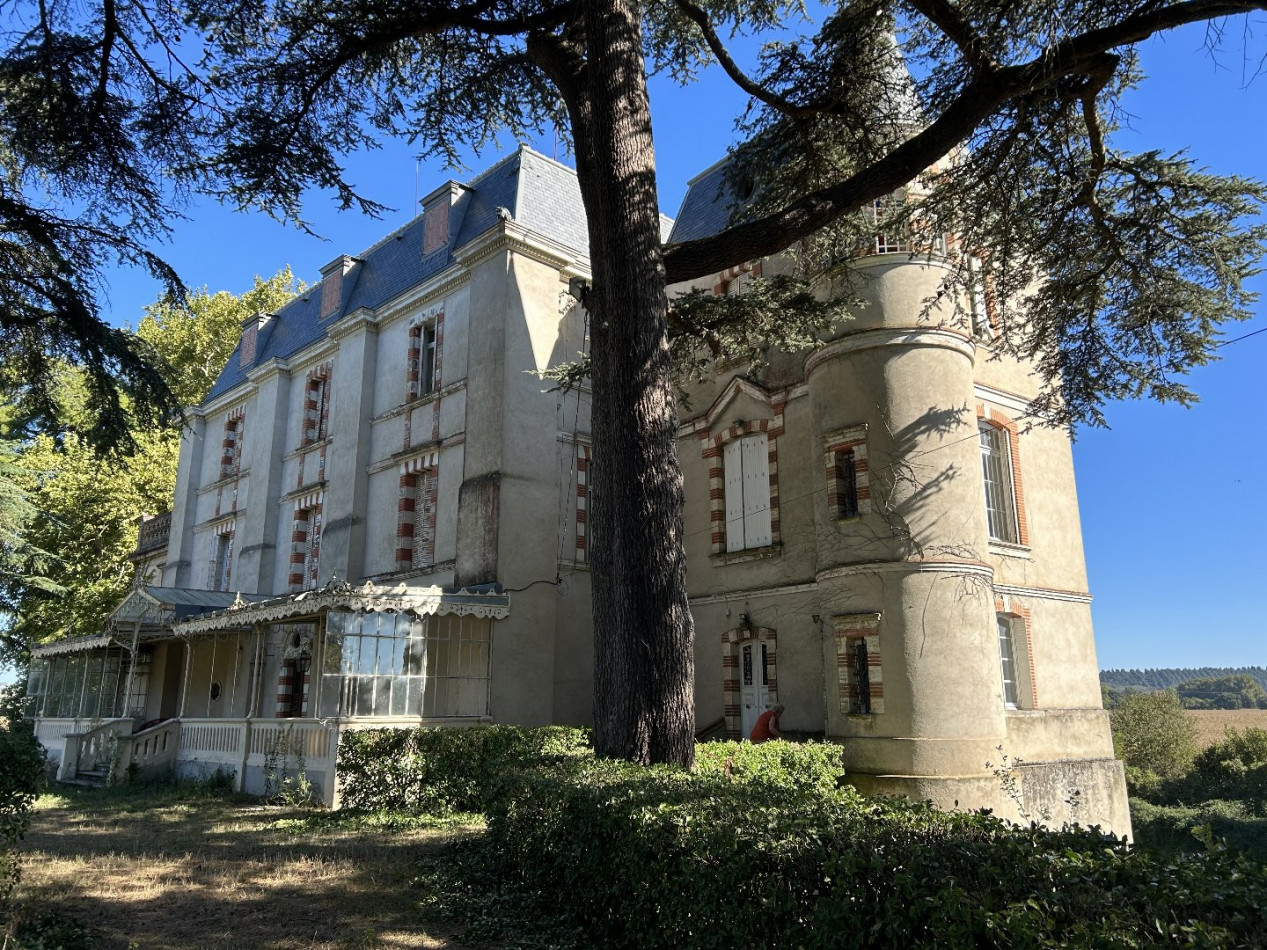 sale Château Calmont - Photo 13