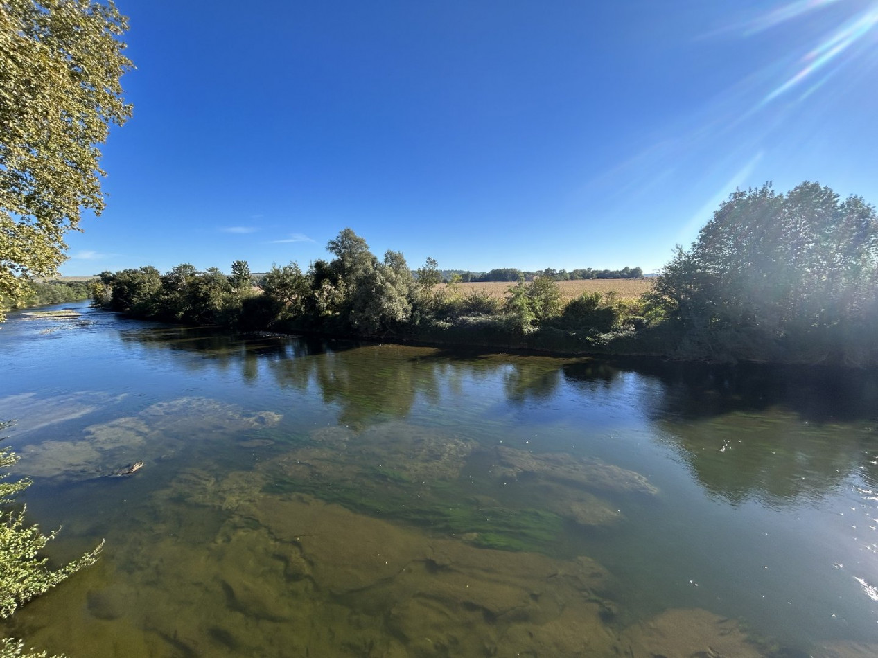 sale Château Calmont - Photo 15