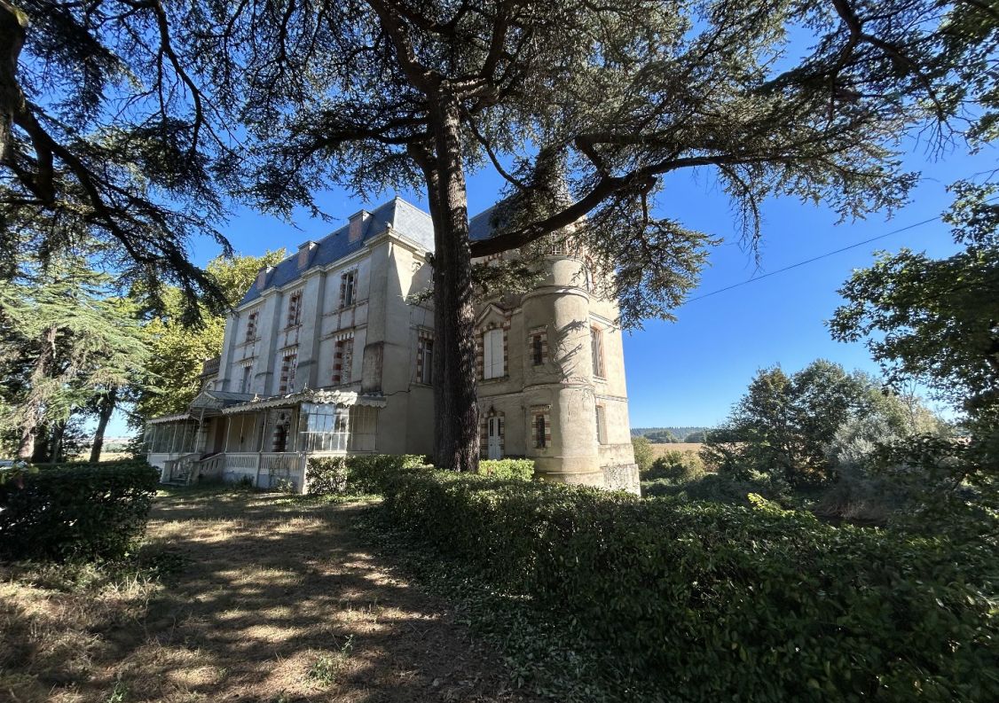 vente Château Calmont