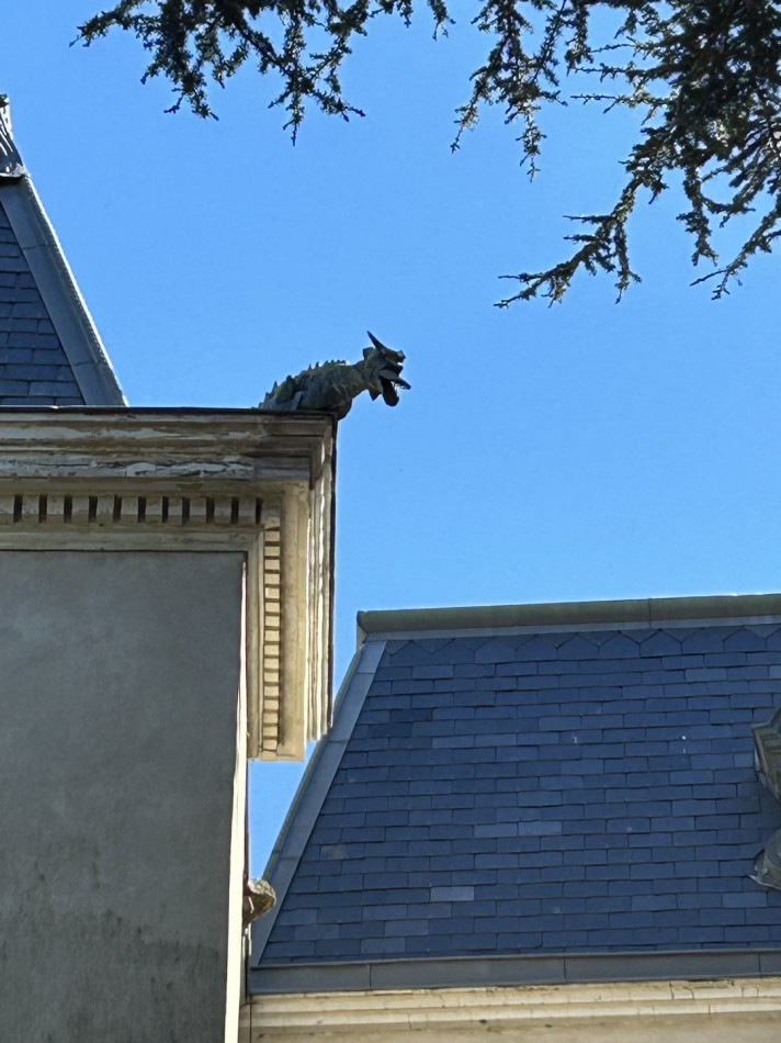 sale Château Calmont - Photo 16