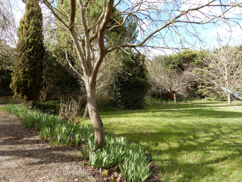 vente Maison individuelle Castelnaudary - Photo 20