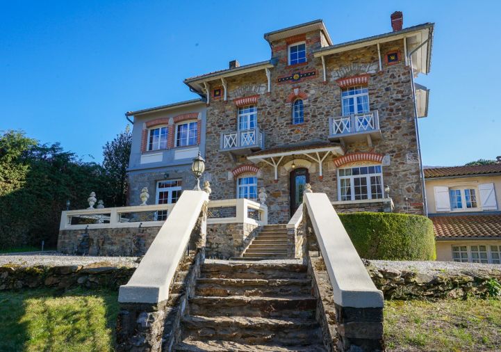 vente Château Saint Pons De Thomieres