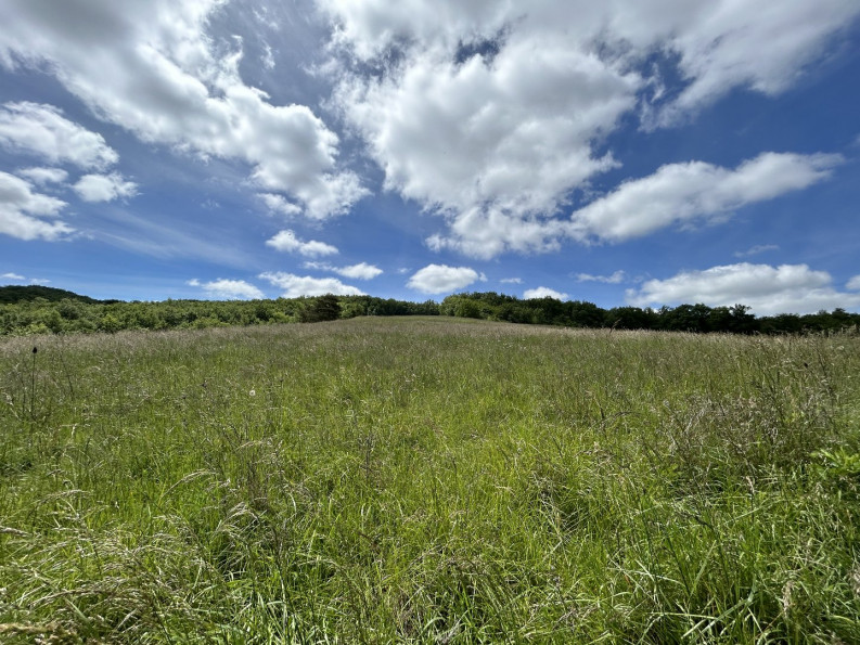 sale Maison Escueillens Et Saint Just - Photo 15