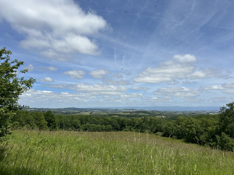 sale Maison Escueillens Et Saint Just - Photo 4