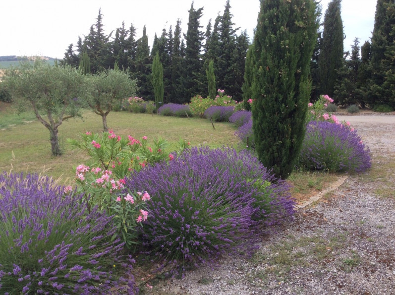 vente Maison Limoux - Photo 19