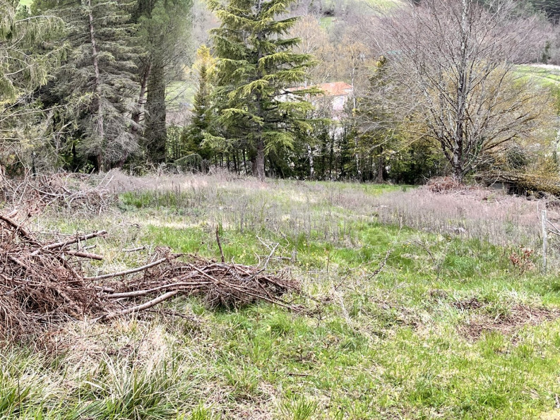vente Propriété Villefort - Photo 15
