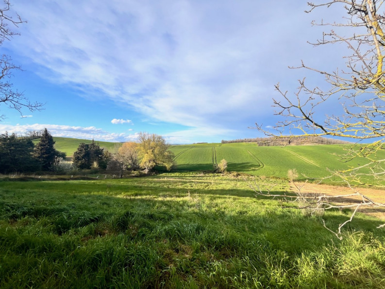 vente Ensemble immobilier Escueillens Et Saint Just - Photo 4