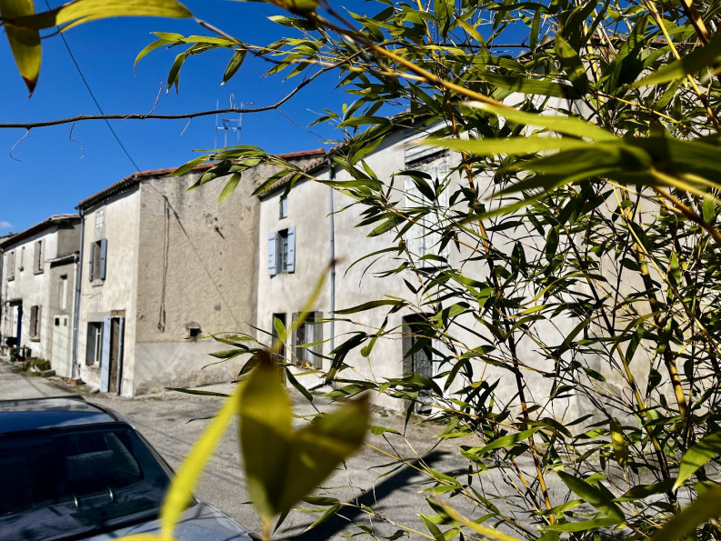 vente Ensemble immobilier Escueillens Et Saint Just - Photo 1