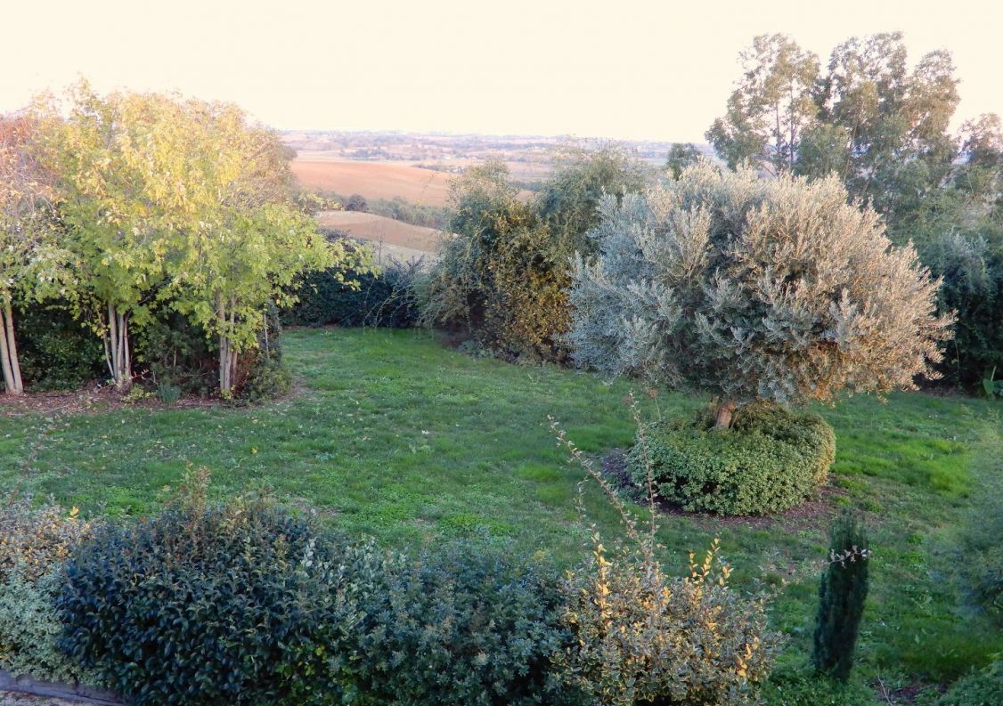 vente Maison Montgaillard Lauragais