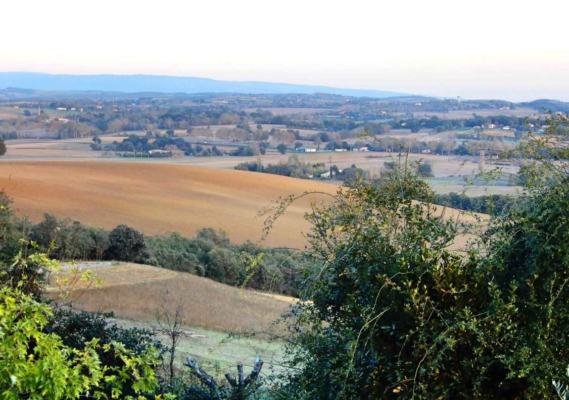 vente Maison Montgaillard Lauragais
