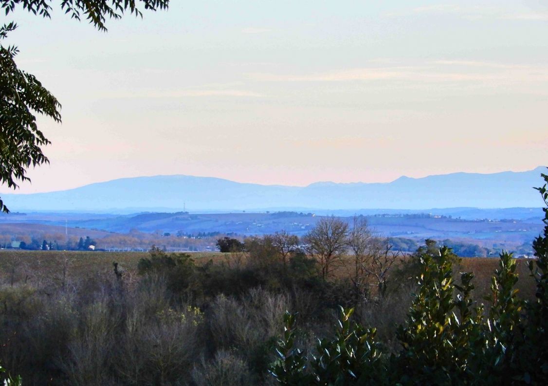 vente Maison Montgaillard Lauragais