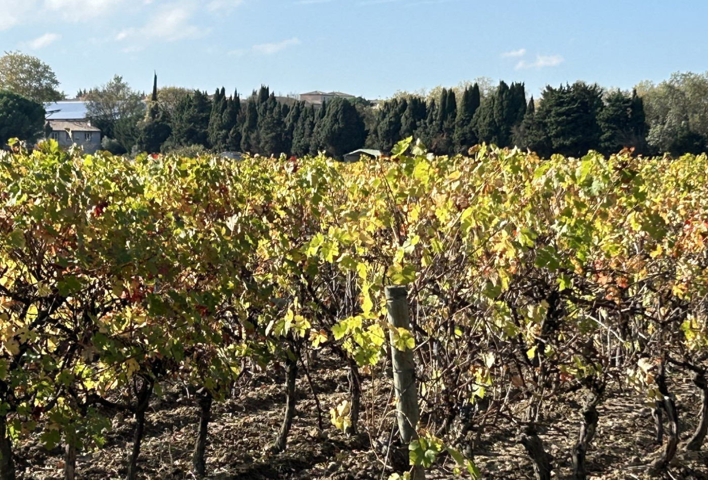 vente Maison Carcassonne - Photo 3