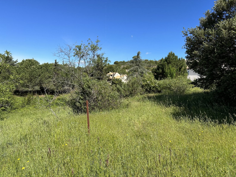 vente Terrain constructible Caunes Minervois - Photo 12