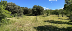 vente Terrain constructible Caunes Minervois