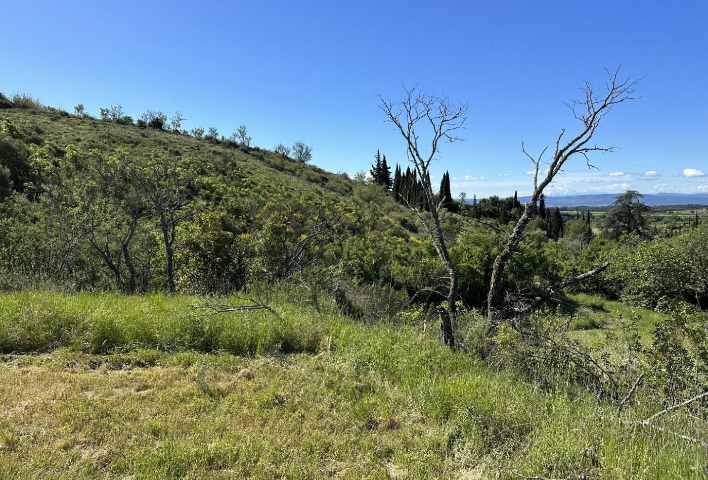 vente Terrain constructible Caunes Minervois - Photo 7