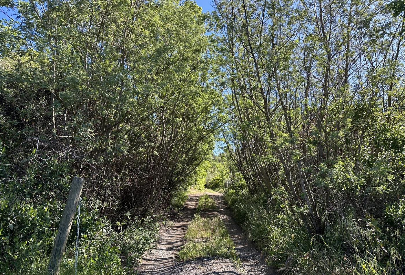 vente Terrain constructible Caunes Minervois - Photo 8