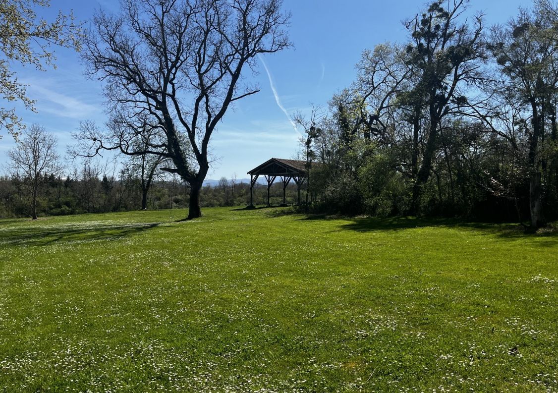 vente Domaine Carla Bayle