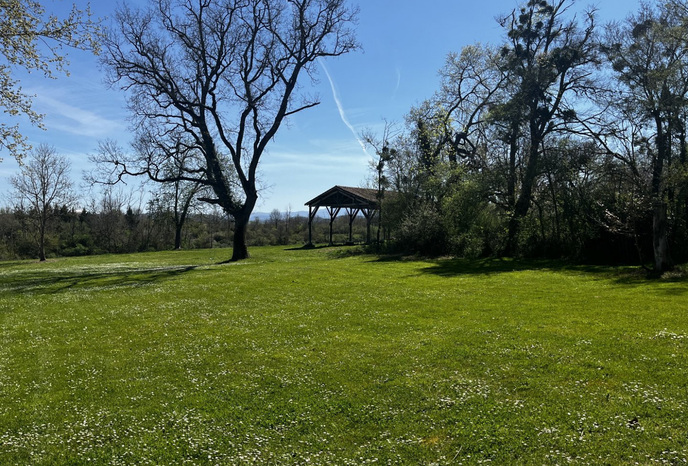 vente Domaine Carla Bayle - Photo 8