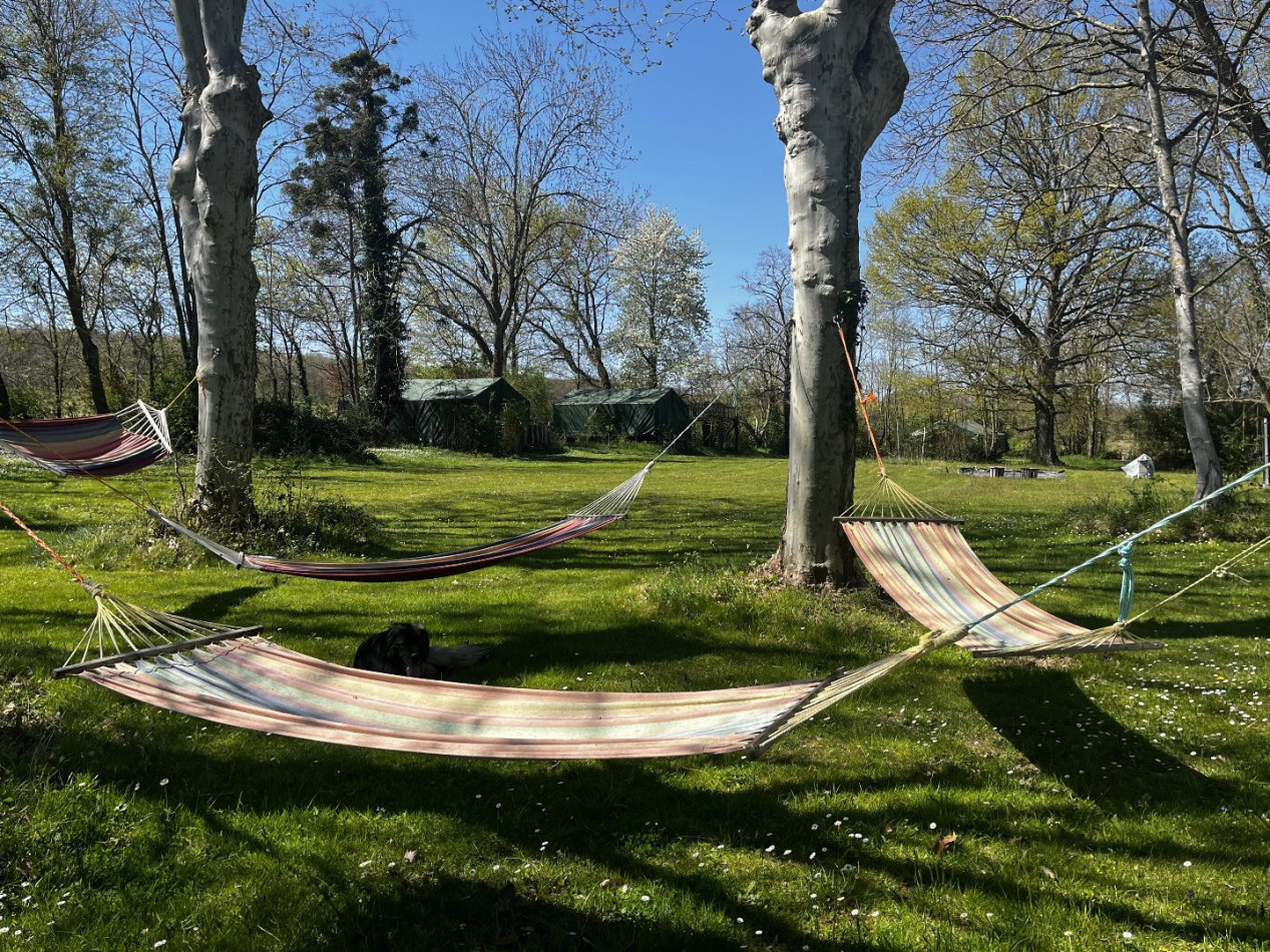 vente Domaine Carla Bayle - Photo 12