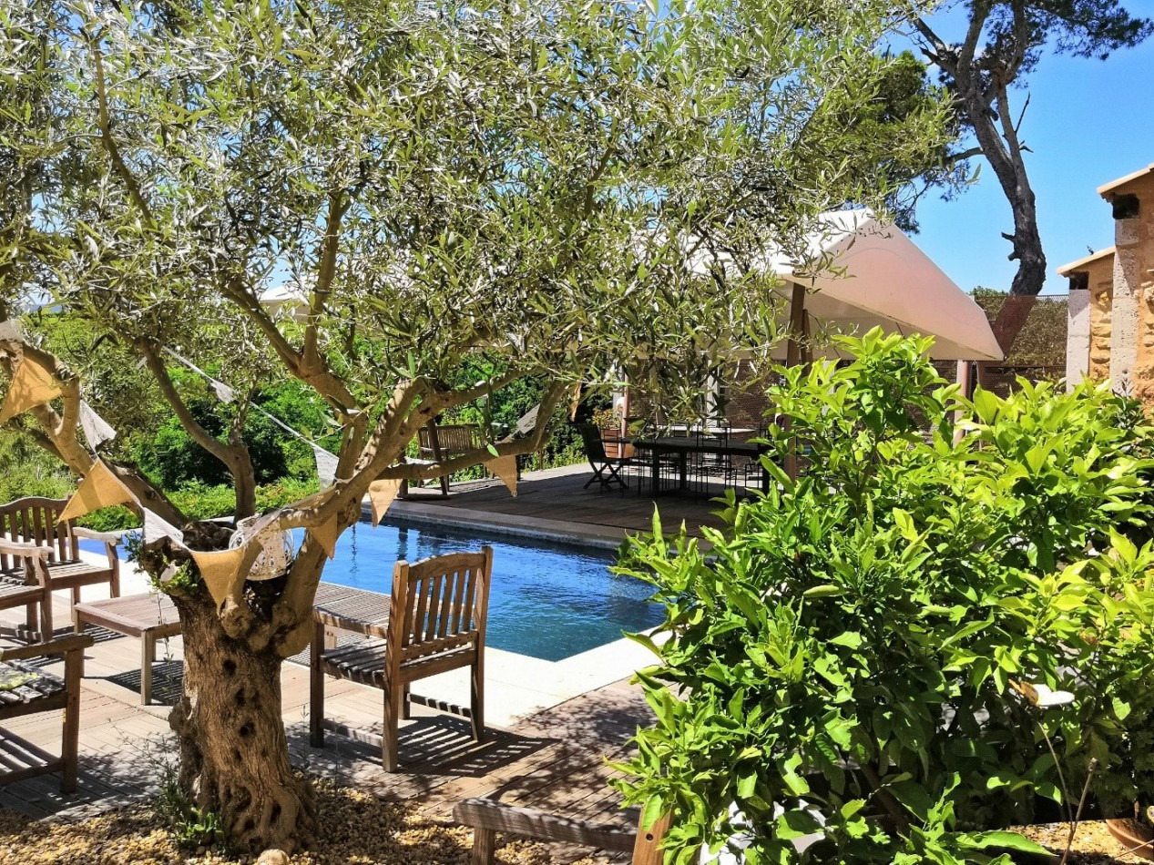 vente Maison Saint Andre De Roquelongue - Photo 11