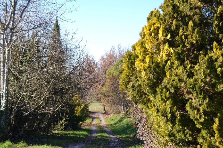 vente Maison Puylaurens - Photo 17